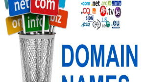 Domain Name Locator Services