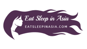 Eat Sleep in Asia domain name for sale on Speedforcez.com