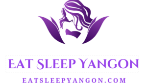 Eat Sleep Yangon domain name for sale on Speedforcez.com