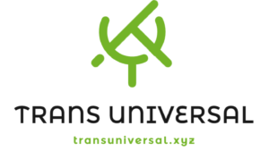 Trans Universal.xyz domain name for sale on Speedforcez.com