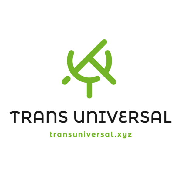 Trans Universal.xyz domain name for sale on Speedforcez.com